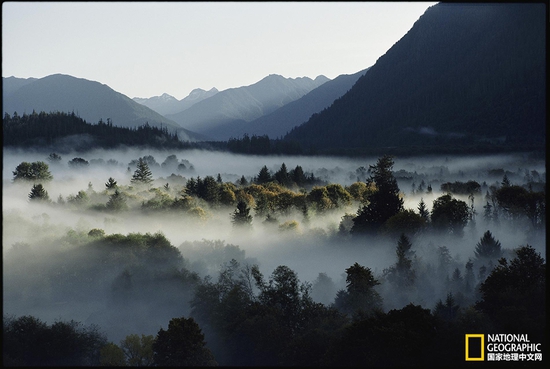 奧林匹克國家公園，華盛頓州攝影：Sam Abell，國家地理創(chuàng)意版