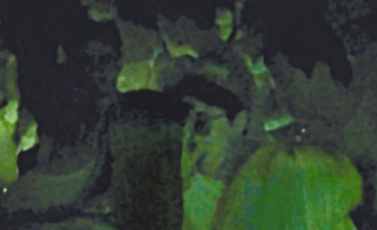 房祖名去年被港媒直擊在中環(huán)夜店與長發(fā)妞互動曖昧，女生正是Nana