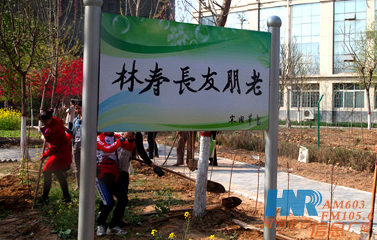 老朋友共建“老朋友長(zhǎng)壽林” 老朋友共建“老朋友長(zhǎng)壽林”