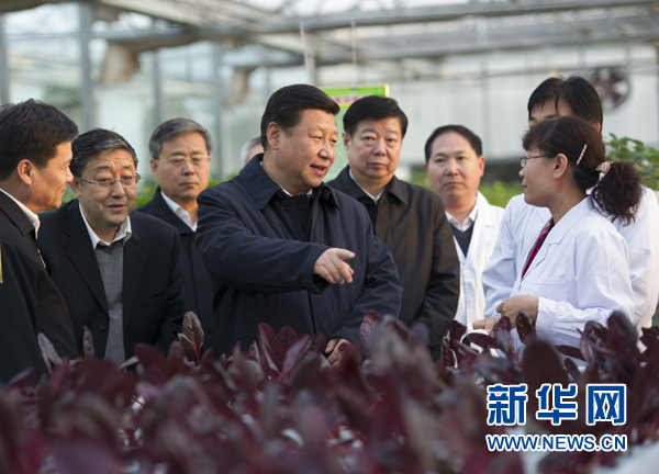  27日下午，習近平在山東省農(nóng)業(yè)科學院智能化溫室了解農(nóng)業(yè)科技創(chuàng)新情況。