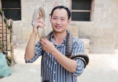 李羽峰正在展示基地養(yǎng)殖的蛇 李羽峰正在展示基地養(yǎng)殖的蛇
