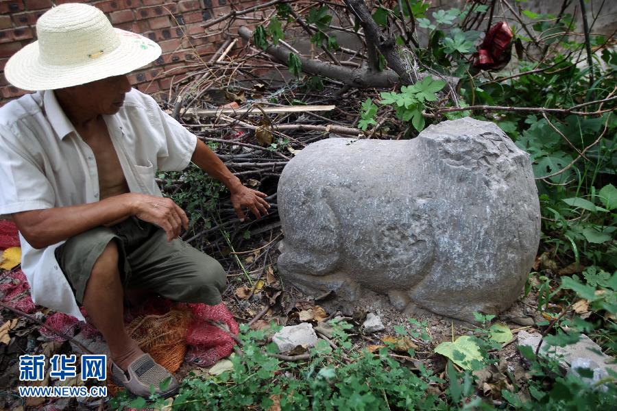 朝陽鎮(zhèn)后李村業(yè)余文保隊員，今年65歲的李連堂在上世紀平整土地時候，從地里挖出一個石羊殘身，至今仍放在
