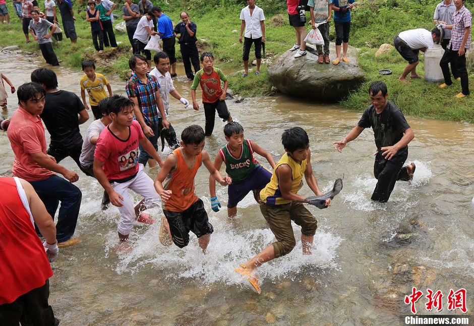7月9日，村民在小河里摸魚搶魚。譚凱興 攝