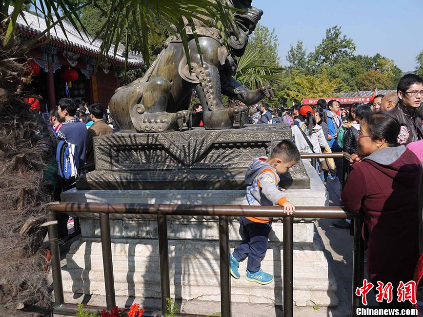10月26日上午10點(diǎn)多，北京香山路賞紅客摩肩接踵