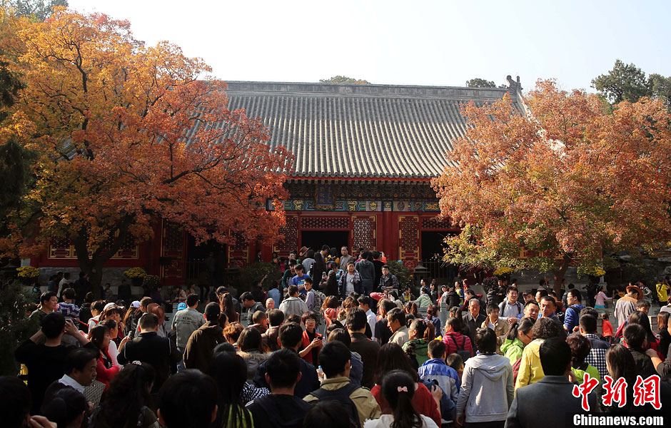 　10月26日，北京香山公園內(nèi)游客摩肩接踵。