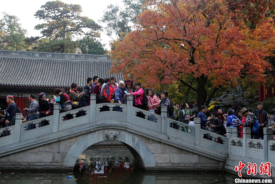 　10月26日，北京香山公園內(nèi)游客摩肩接踵。