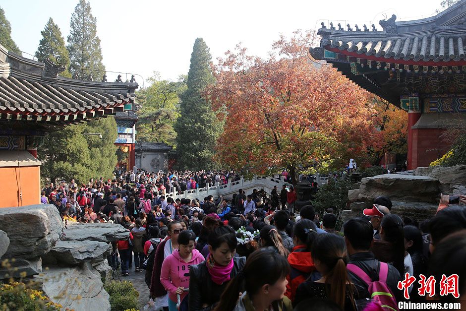 　10月26日，北京香山公園內(nèi)游客摩肩接踵。