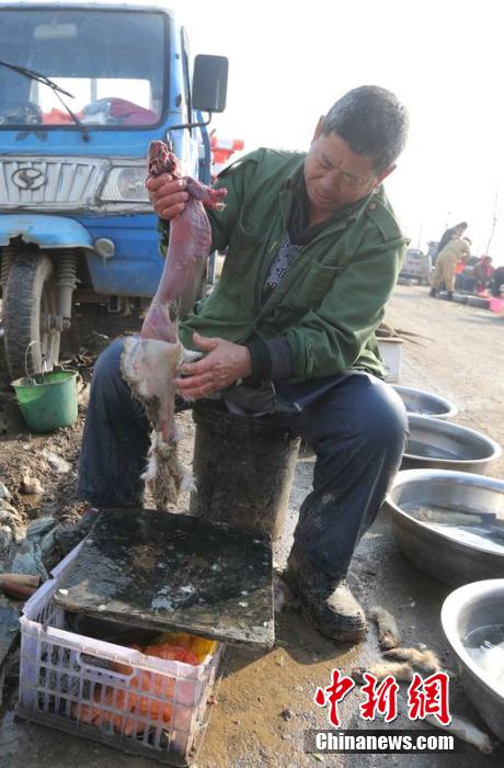 圖為12月1日，104國道靜?？h城附近，顧客挑好后，商販拎著死兔將皮完整地扒下來。田寶希 攝 圖片來