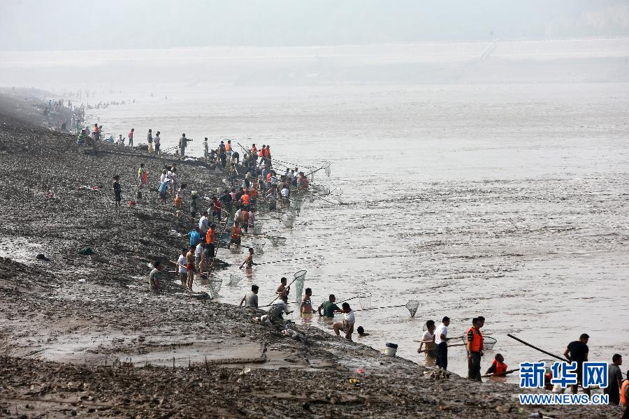 7月6日,在山西省平陸縣黃河岸邊,人們?cè)诤舆叢稉泣S河“流魚”。