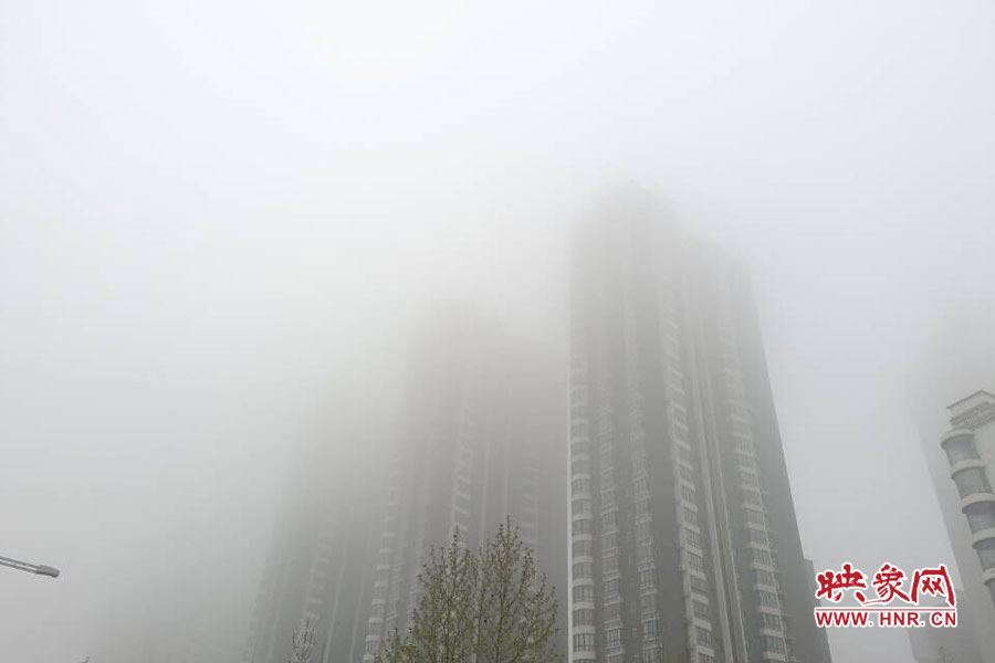 鄭州現(xiàn)大霧天氣，宛若仙境