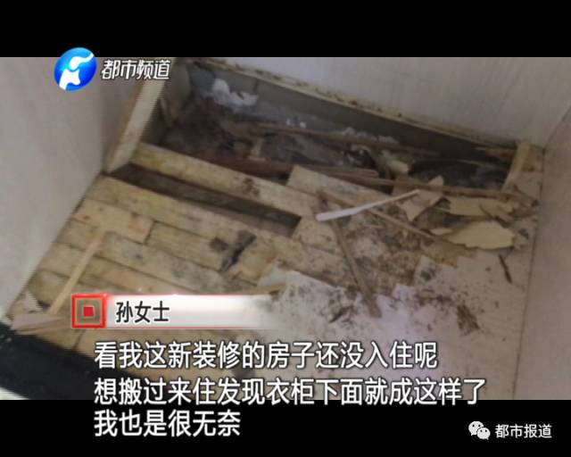 蟻族大軍入侵！十幾萬裝修的新家被“吃掉”