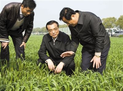3月28日,李克強(qiáng)在江蘇省常熟市田娘家庭農(nóng)場(chǎng)察看麥苗長(zhǎng)勢(shì)。