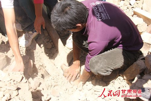小黃狗露出了鼻子。王生元/攝