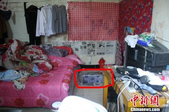 圖上紅圈內(nèi)為嫌犯所挖地窖入口。 吳佳蔚 攝