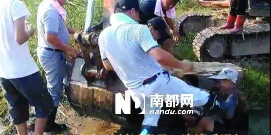 幾名戴黑帽的男子將一名老人推入水塘，后反復(fù)腳踹。