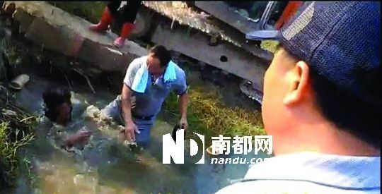 男子沒入水塘后試圖反抗，遭戴黑帽男子毆打。視頻截圖