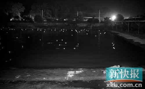 昨日，西湖村鱷魚養(yǎng)殖場已修復(fù)圍欄。