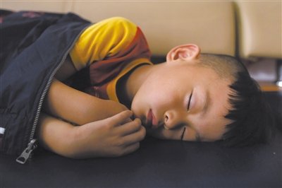 9月6日，等待錄制節(jié)目的多多躺在沙發(fā)上熟睡。新京報(bào)記者 侯少卿 攝