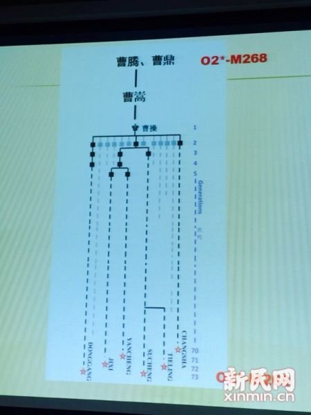 圖說：復旦課題組發(fā)布曹操家族DNA研究結果。新民網(wǎng) 記者 李欣 攝