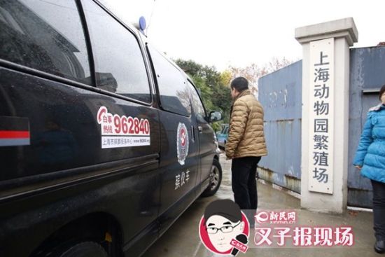 殯葬車到達現(xiàn)場。新民網 記者 蕭君瑋 攝