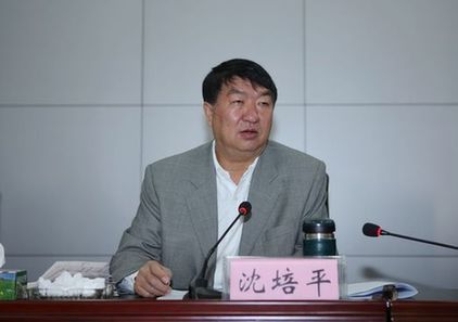 沈培平(資料圖片) 沈培平(資料圖片)