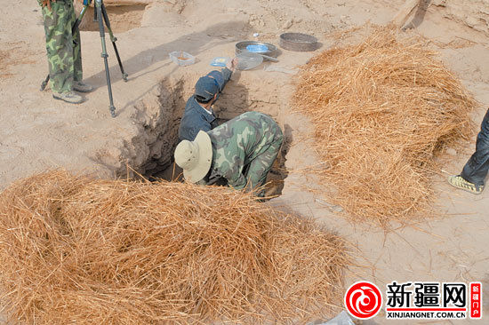 考古人員正在清理麥稈。（圖由中國科學(xué)院人文學(xué)院科技室與科技考古系提供）