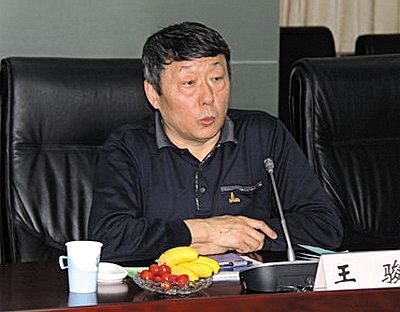 國家能源局新能源和可再生能源司司長王駿。