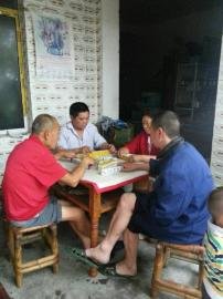 掃水掃不及，胥家鎮(zhèn)柏河村的居民干脆打起了麻將。