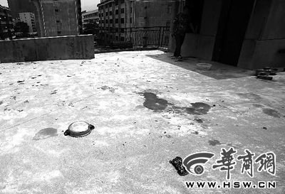藏獒就養(yǎng)在這個(gè)樓頂，孩子從欄桿處墜落 本報(bào)記者 趙航 攝