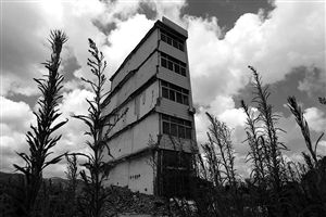 這幢5層的“片片樓”周圍已是一片拆遷后的廢墟，左邊的一堵墻上，不少鋼筋裸露在外面 圖片來源：新華網(wǎng)
