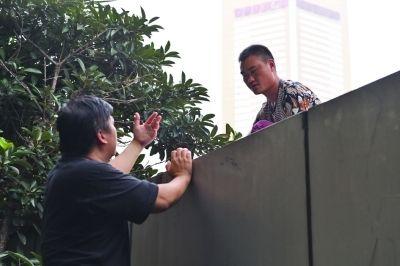 黃主任站在獨(dú)木樁上與男子交談了近半小時(shí)。