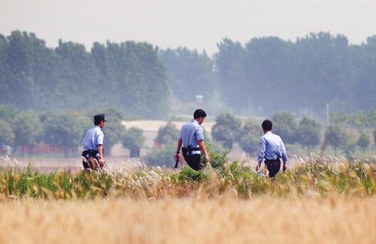 昨日上午，合肥長豐縣雙墩鎮(zhèn)，民警分成小隊在案發(fā)村莊附近麥田搜捕嫌犯。記者劉玉才/攝