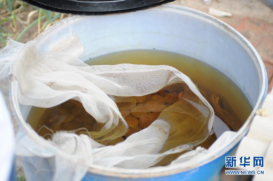 地下水成“綠茶”　污染二十多年該誰治？