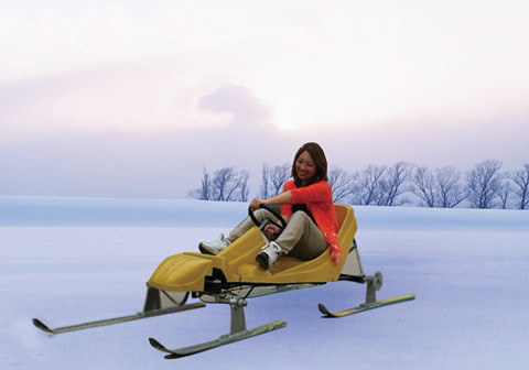 尖叫·極品雪地車(chē)