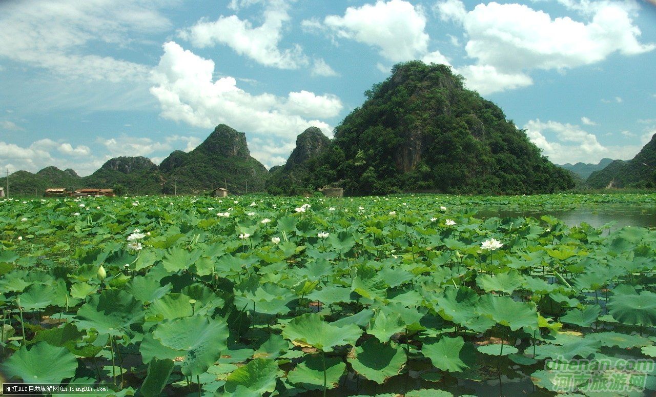 爸爸去哪兒？親密接觸荷花仙子