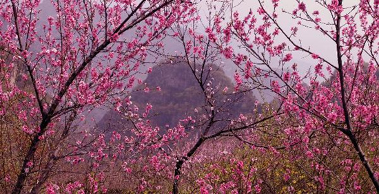 撿垃圾換玫瑰 女人節(jié) 愛(ài)在神農(nóng)山！