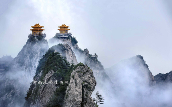 情定老君山 喊出你的愛(ài) 趕緊行動(dòng)吧！