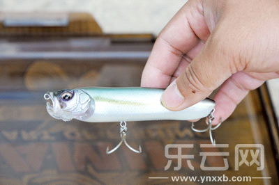 　　又稱擬餌釣魚,起源于歐洲,國內(nèi)翻譯為“路亞”。