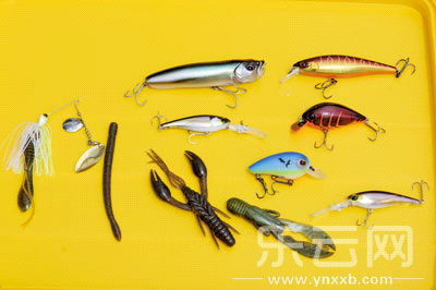 　　又稱擬餌釣魚,起源于歐洲,國內(nèi)翻譯為“路亞”。