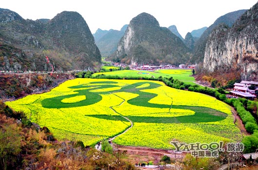 　　貴州油菜花景自以“立體多層,起伏跌宕”的油菜花景觀著稱。(圖片來(lái)源:CFP)