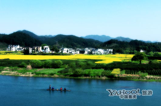　　婺源號(hào)稱是中國(guó)最美麗的鄉(xiāng)村,她最美麗的季節(jié)是三月中下旬。(圖片來(lái)源:CFP)