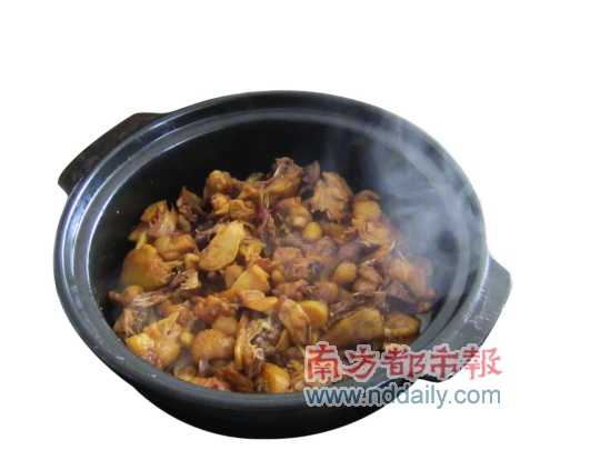 土雞煲 土雞煲