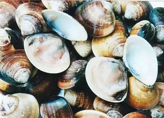 秋季最適合吃的海鮮是這10種 你吃對(duì)了嗎？