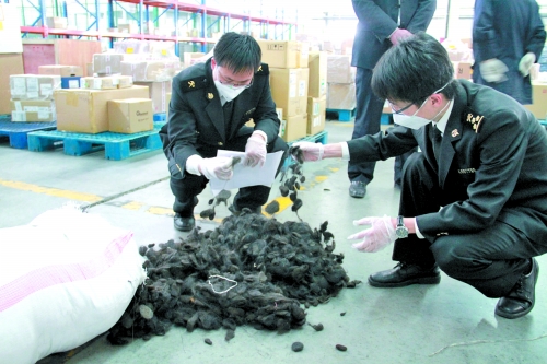 這批“廢人發(fā)”是在鄭州機(jī)場海關(guān)被查獲的