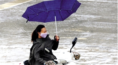 昨日下午，隴海路上，雨中風(fēng)大，一位女士的傘被吹翻了。