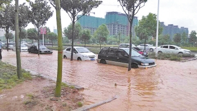 昨日，信陽突降暴雨，路面積水已淹沒輪胎。首席記者 何正權 通訊員 楊小燕 攝影