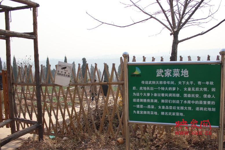 武家菜地就是這，據說里面有個特大的蘿卜