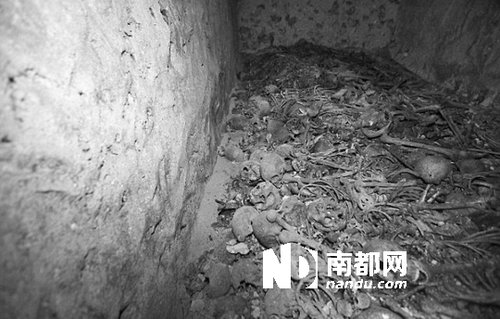 　5月29日，在以色列特拉維夫市雅法地區(qū)，一處集體墳?zāi)贡话l(fā)現(xiàn)。
