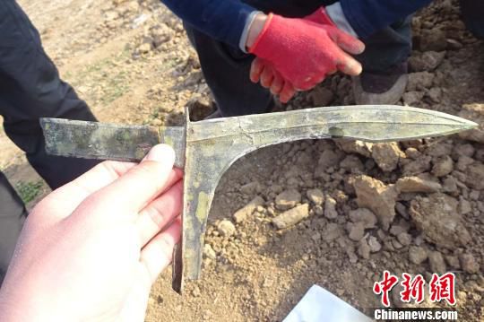 河南發(fā)掘戰(zhàn)國至東漢墓葬群 出土罕見青銅劍、戈（圖）
