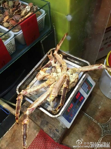 網(wǎng)友提供圖片。